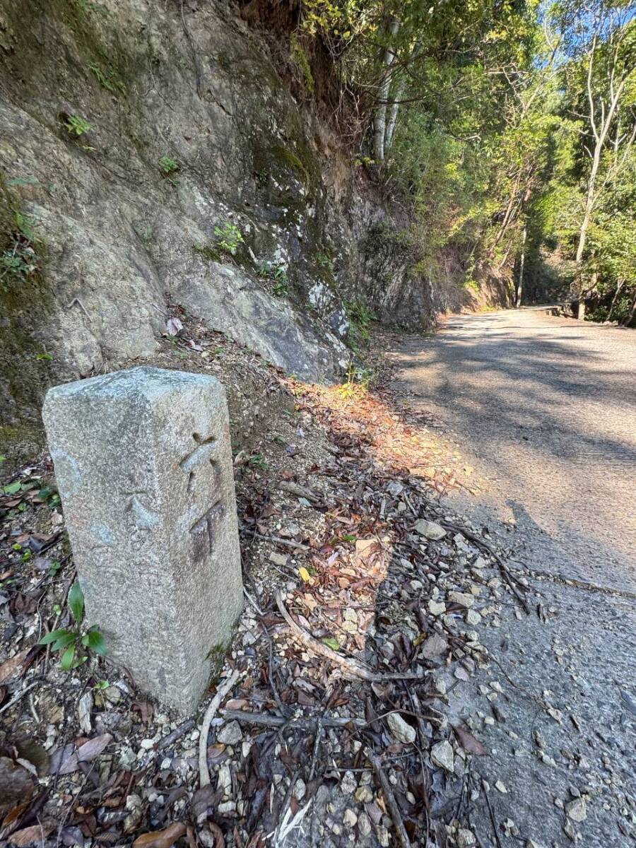 大人気で面白い名前の山「ポンポン山」は歩きやすく登山初心者にオススメ