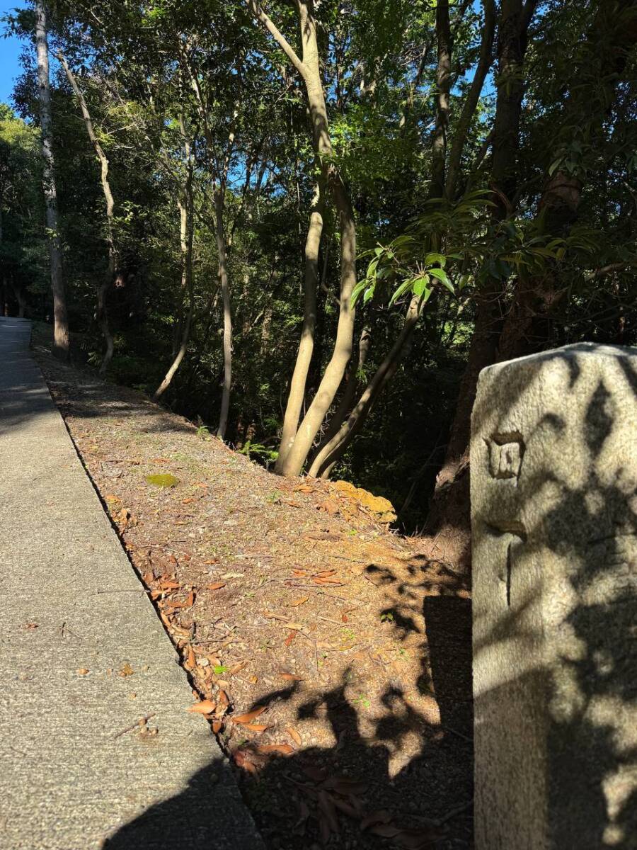 大人気で面白い名前の山「ポンポン山」は歩きやすく登山初心者にオススメ