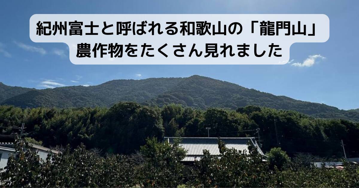 紀州富士と呼ばれる和歌山の「龍門山」農作物がたくさん見れました