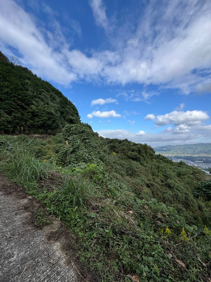 紀州富士と呼ばれる和歌山の「龍門山」農作物がたくさん見れました