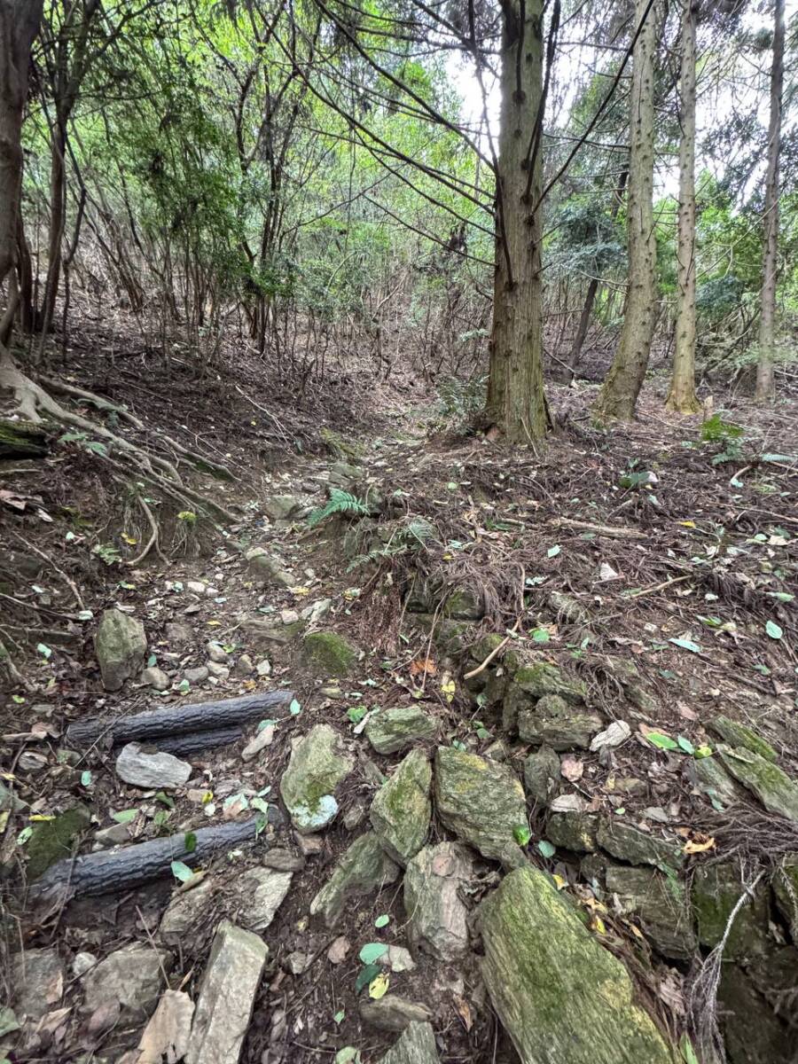 紀州富士と呼ばれる和歌山の「龍門山」農作物がたくさん見れました