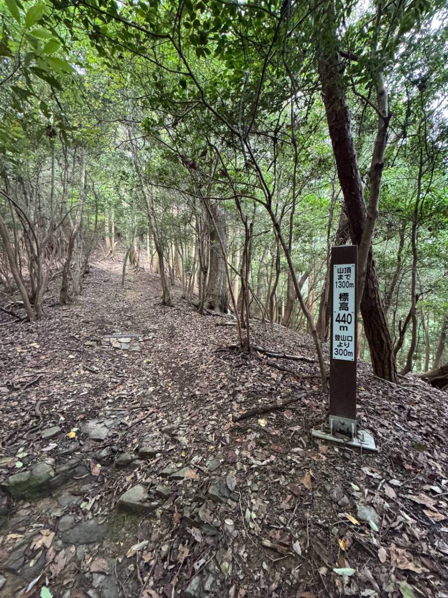 紀州富士と呼ばれる和歌山の「龍門山」農作物がたくさん見れました