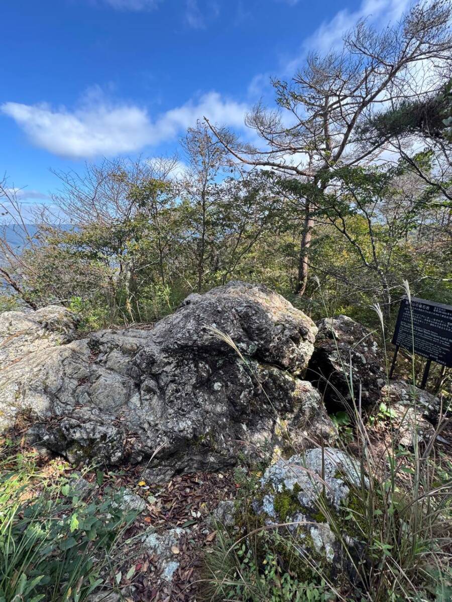 紀州富士と呼ばれる和歌山の「龍門山」農作物がたくさん見れました