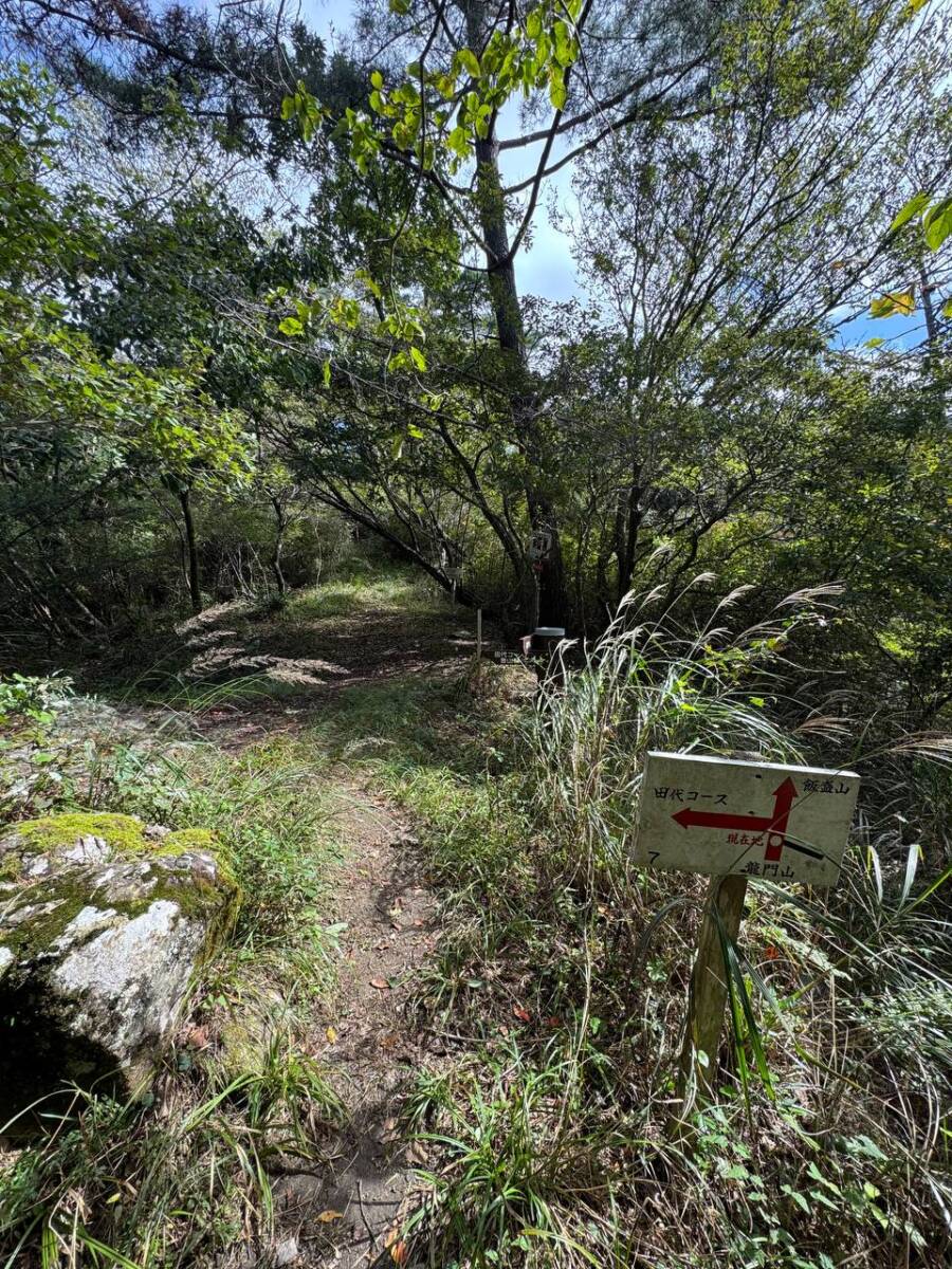 紀州富士と呼ばれる和歌山の「龍門山」農作物がたくさん見れました