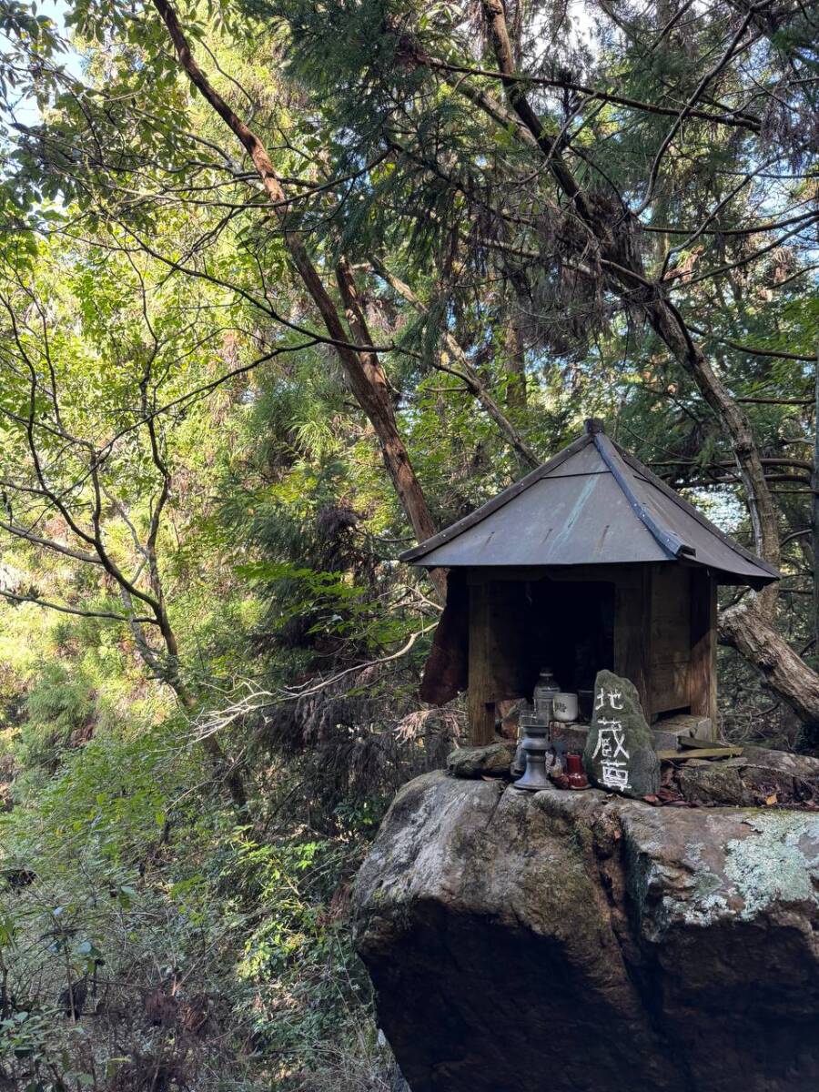 紀州富士と呼ばれる和歌山の「龍門山」農作物がたくさん見れました