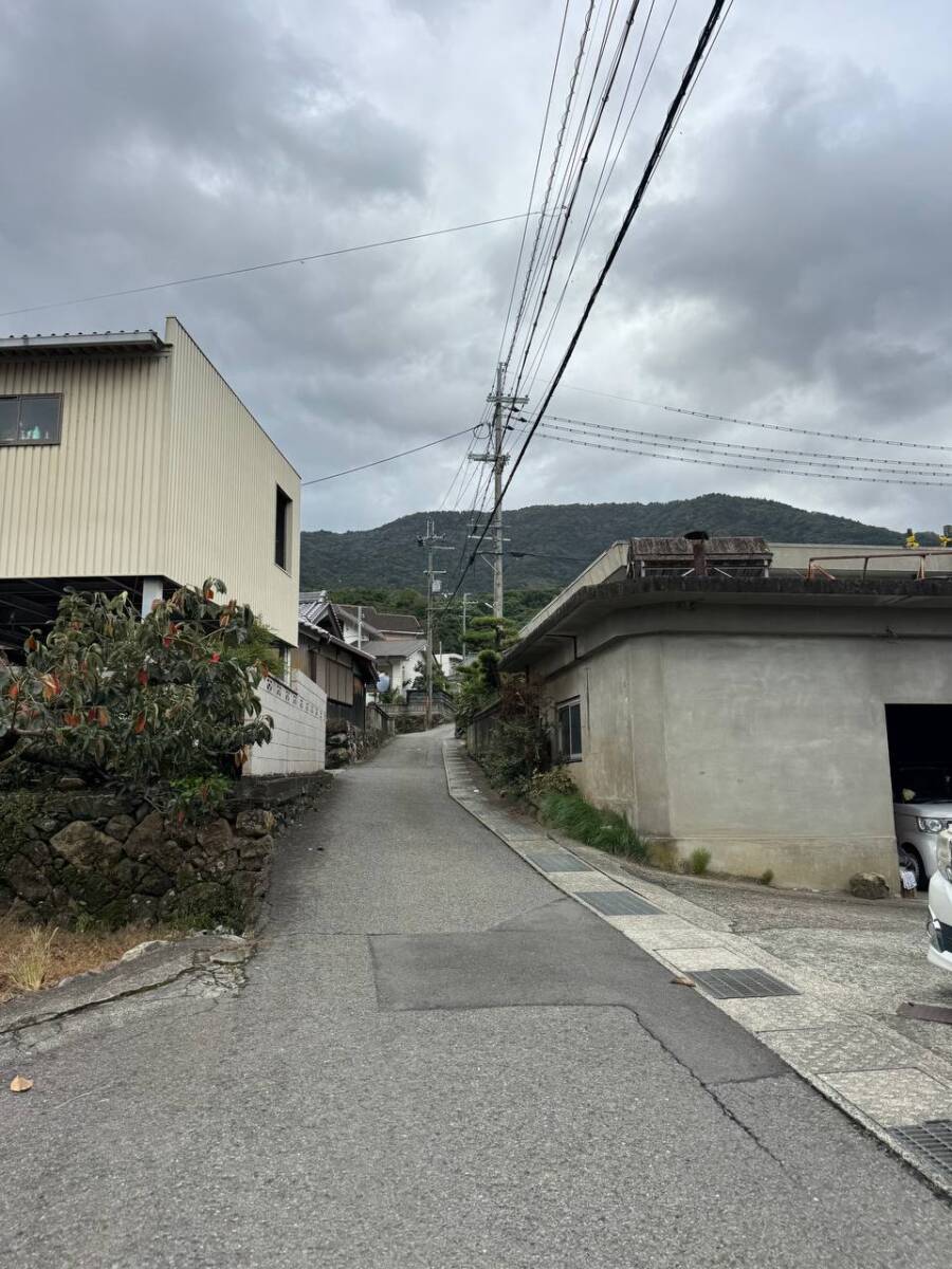 紀州富士と呼ばれる和歌山の「龍門山」農作物がたくさん見れました