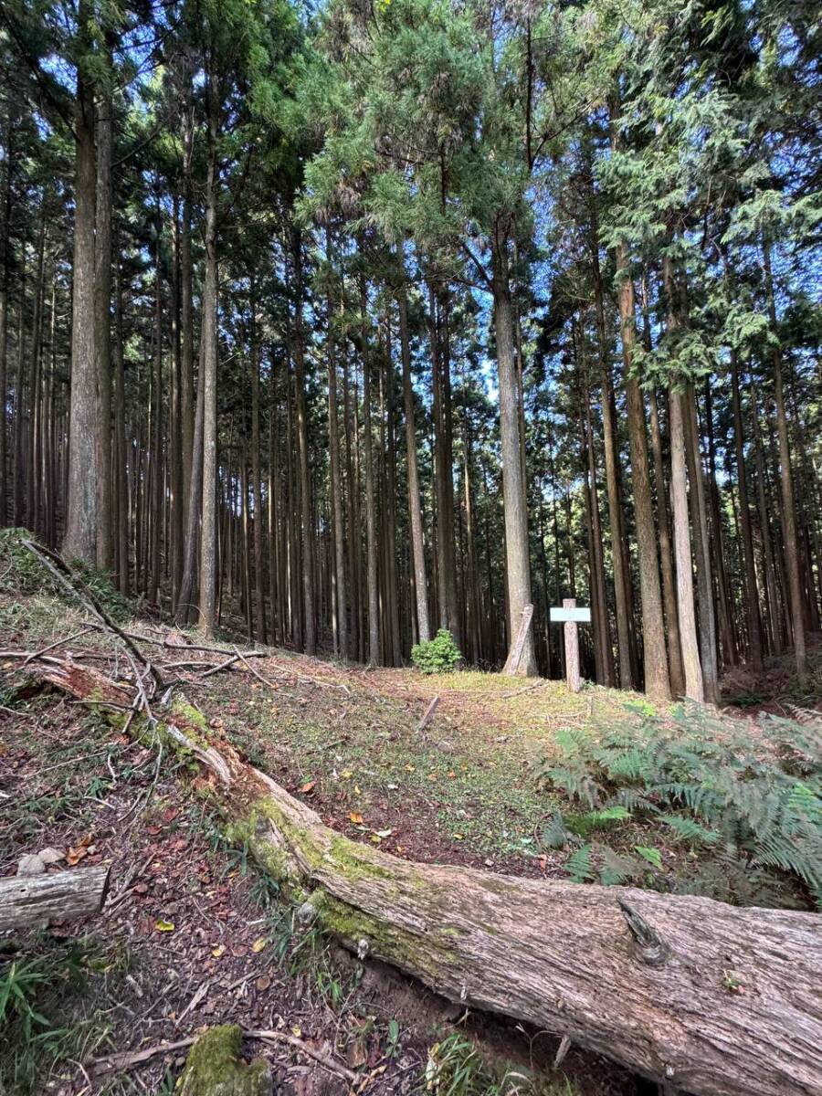 国の天然記念物「屏風岩」が立ちはだかる景観を楽しめるハイキング「住塚山」