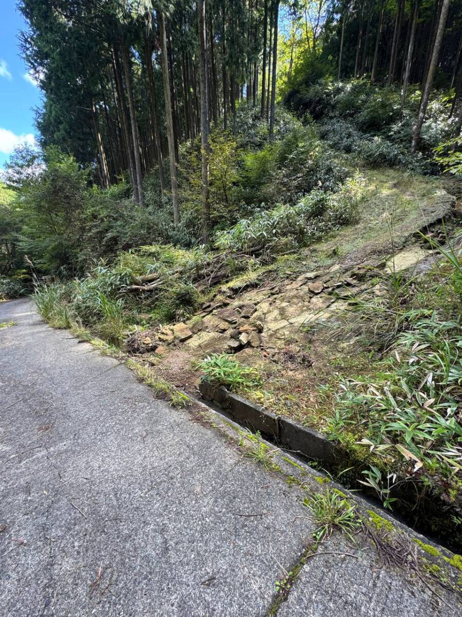 国の天然記念物「屏風岩」が立ちはだかる景観を楽しめるハイキング「住塚山」