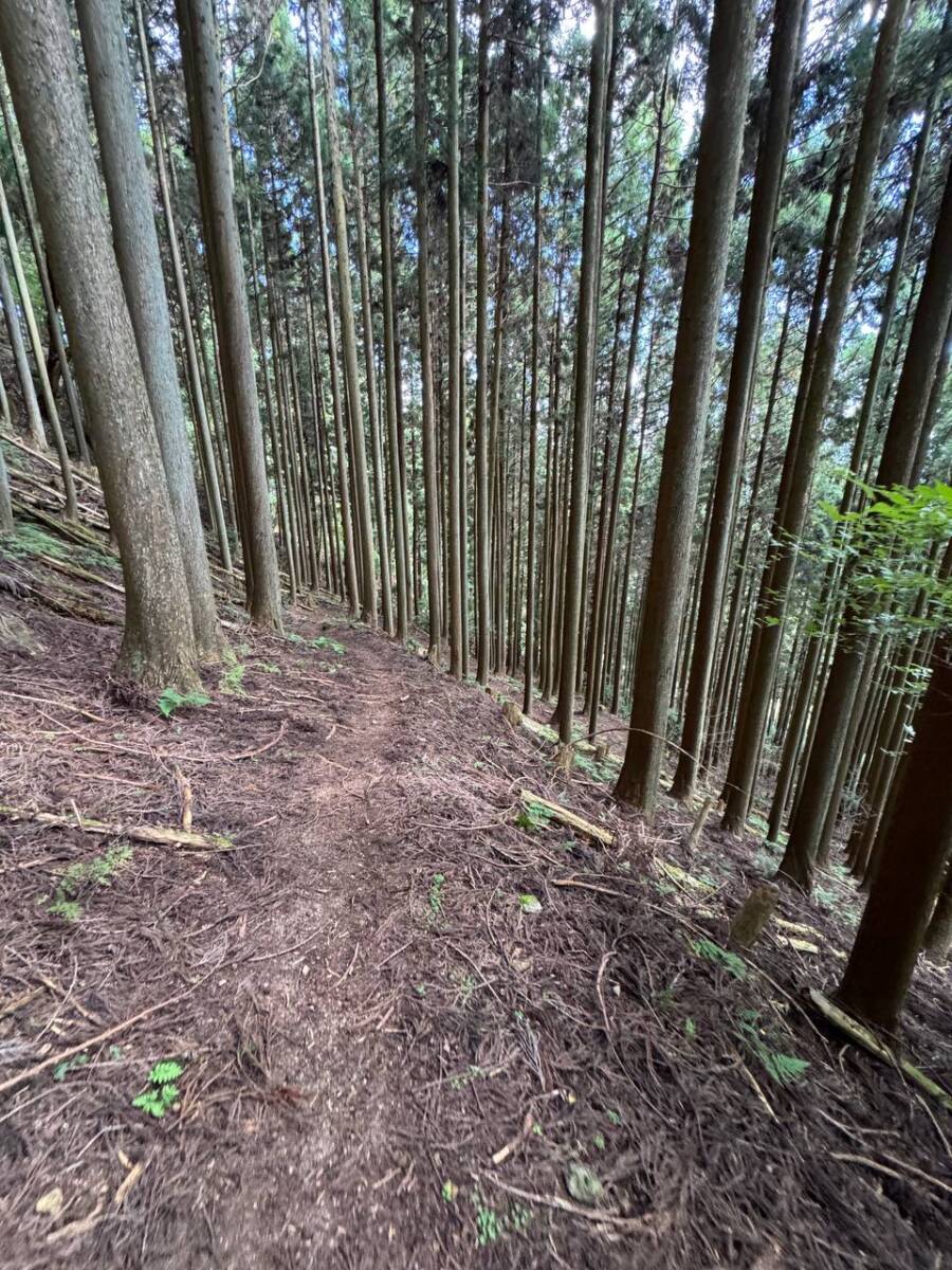 国の天然記念物「屏風岩」が立ちはだかる景観を楽しめるハイキング「住塚山」