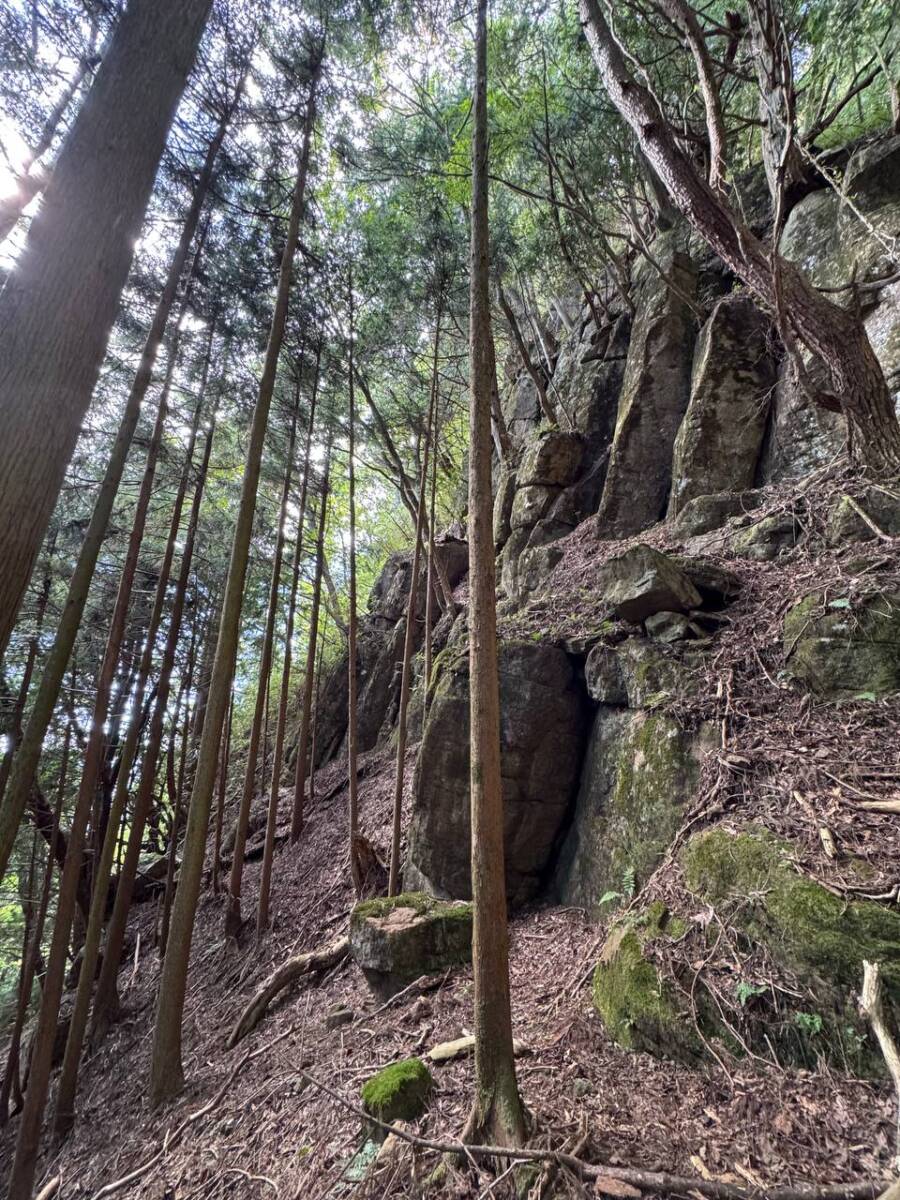 国の天然記念物「屏風岩」が立ちはだかる景観を楽しめるハイキング「住塚山」