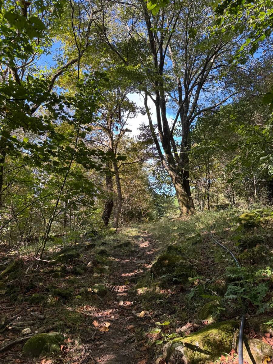 国の天然記念物「屏風岩」が立ちはだかる景観を楽しめるハイキング「住塚山」