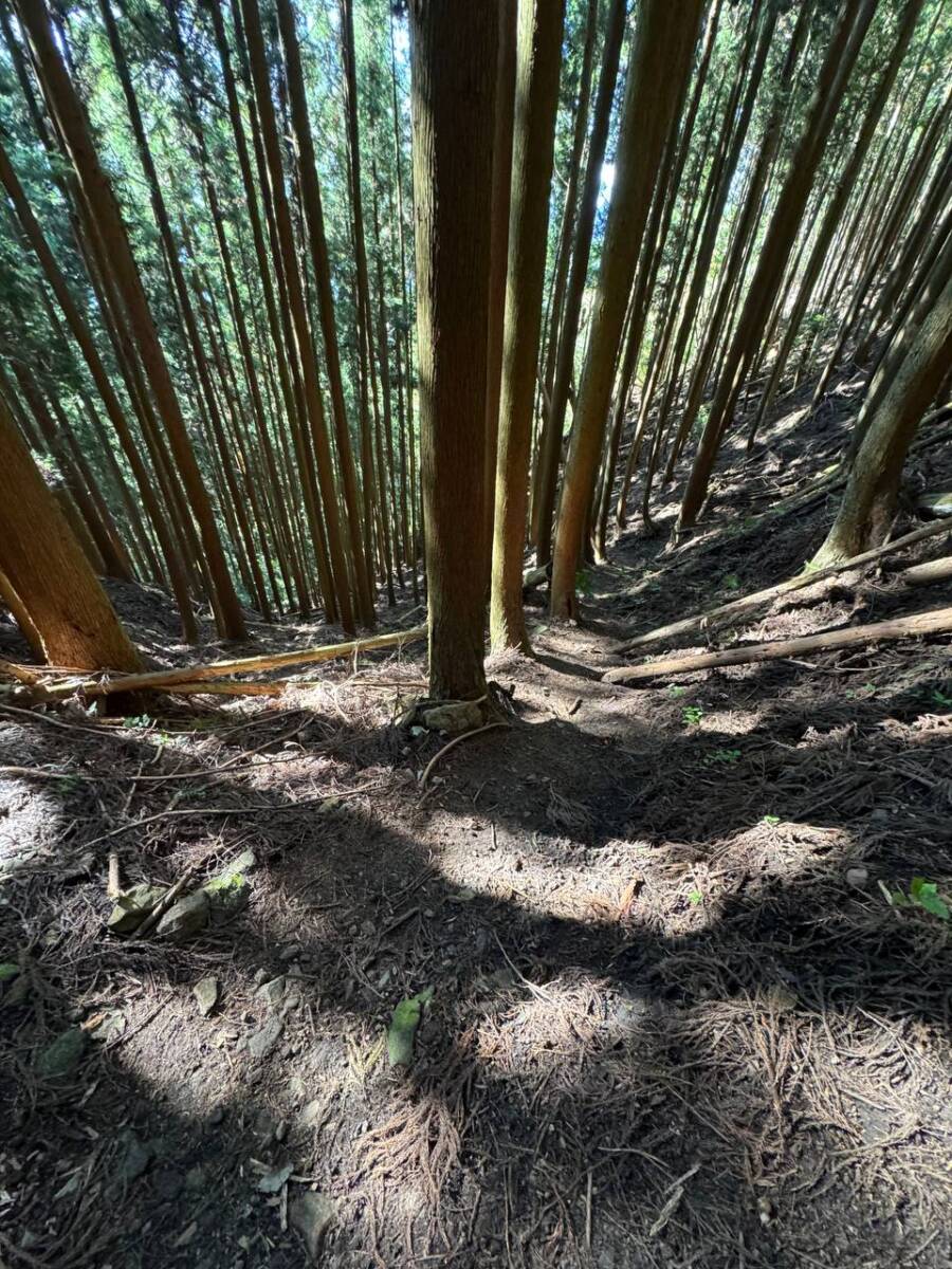 国の天然記念物「屏風岩」が立ちはだかる景観を楽しめるハイキング「住塚山」