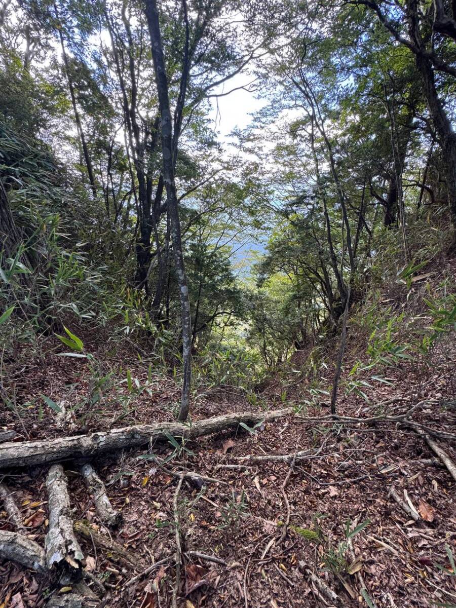 国の天然記念物「屏風岩」が立ちはだかる景観を楽しめるハイキング「住塚山」