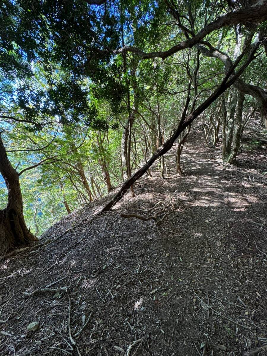 国の天然記念物「屏風岩」が立ちはだかる景観を楽しめるハイキング「住塚山」