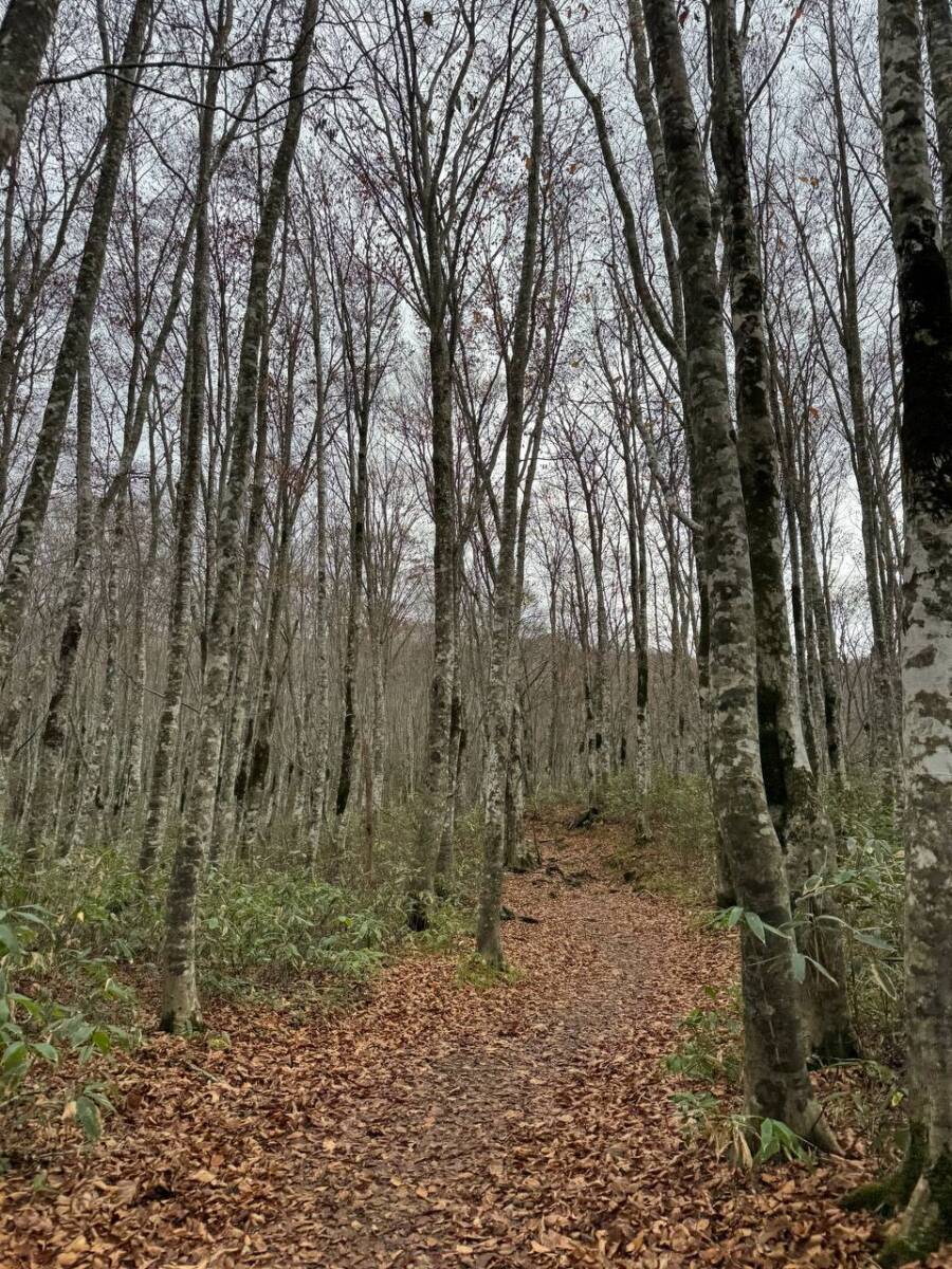 福島の名峰、明治の大噴火の痕跡が今なお残る日本百名山『磐梯山』