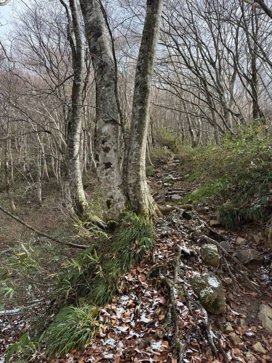 福島の名峰、明治の大噴火の痕跡が今なお残る日本百名山『磐梯山』