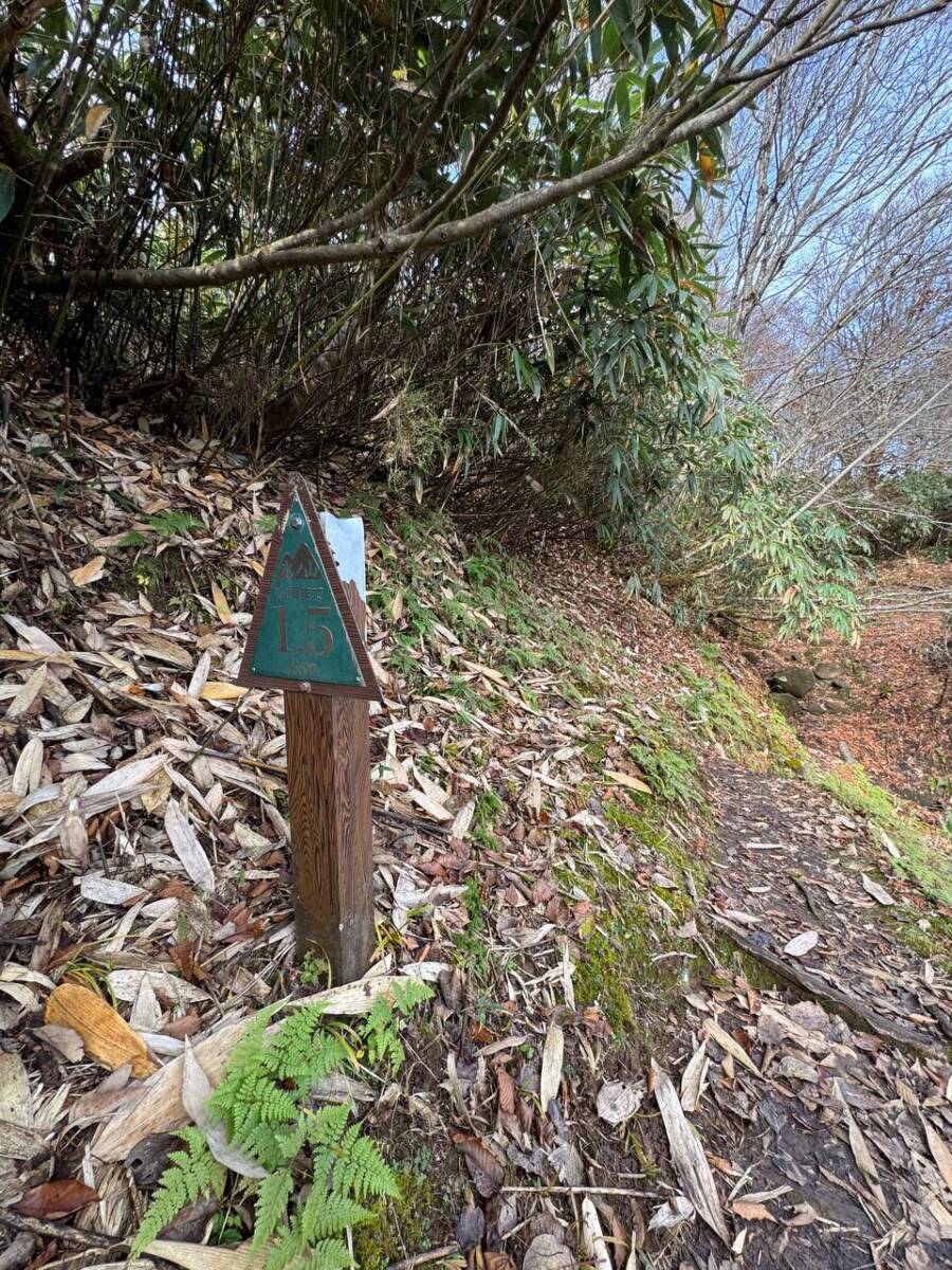 兵庫県最高峰で日本二百名山の『氷ノ山』をぶん回してきました