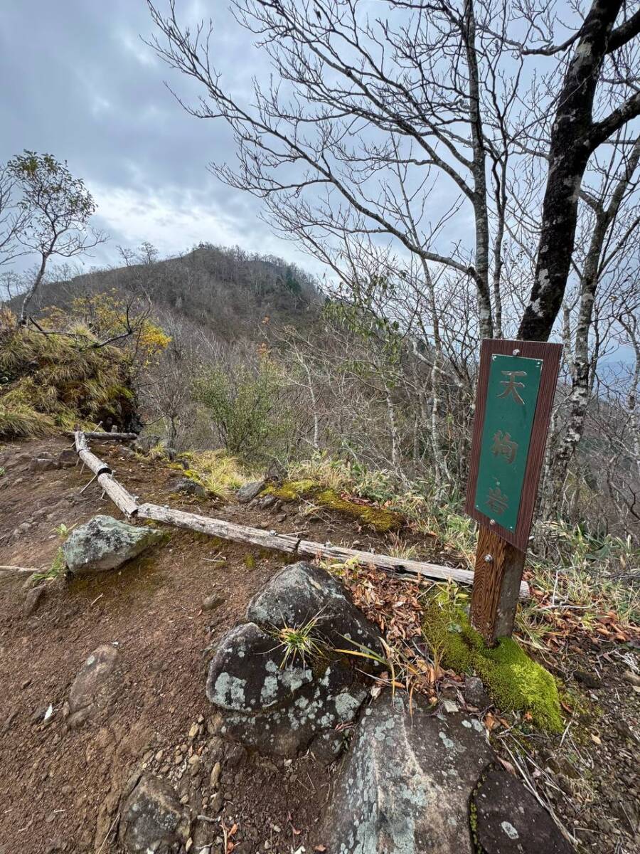 兵庫県最高峰で日本二百名山の『氷ノ山』をぶん回してきました