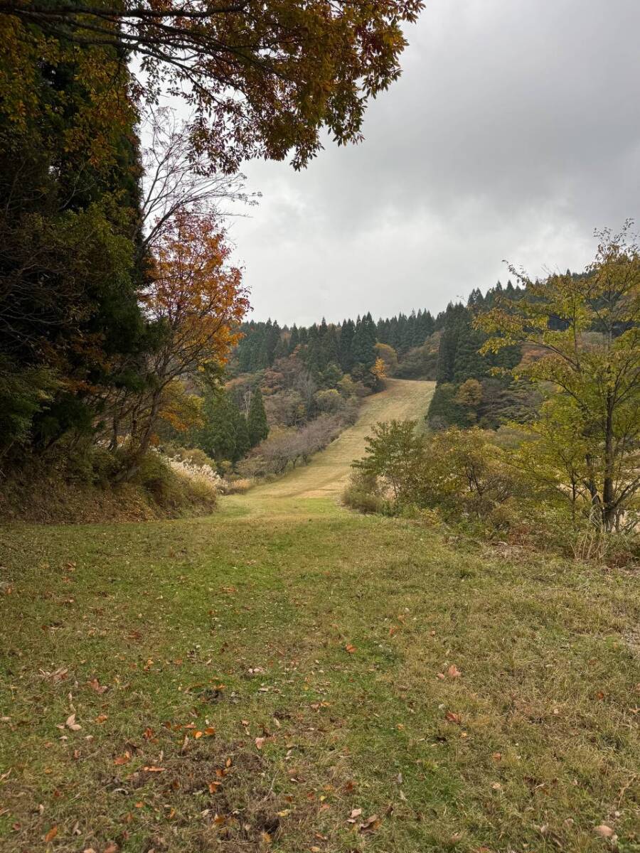 兵庫県最高峰で日本二百名山の『氷ノ山』をぶん回してきました