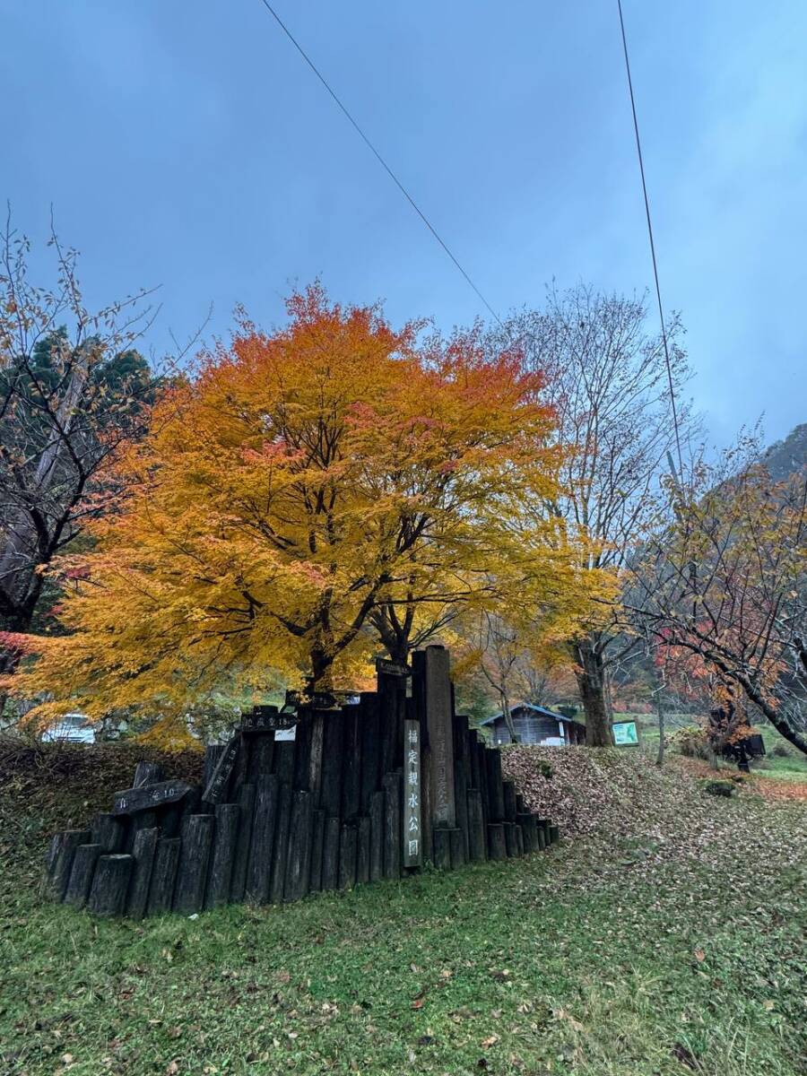 兵庫県最高峰で日本二百名山の『氷ノ山』をぶん回してきました