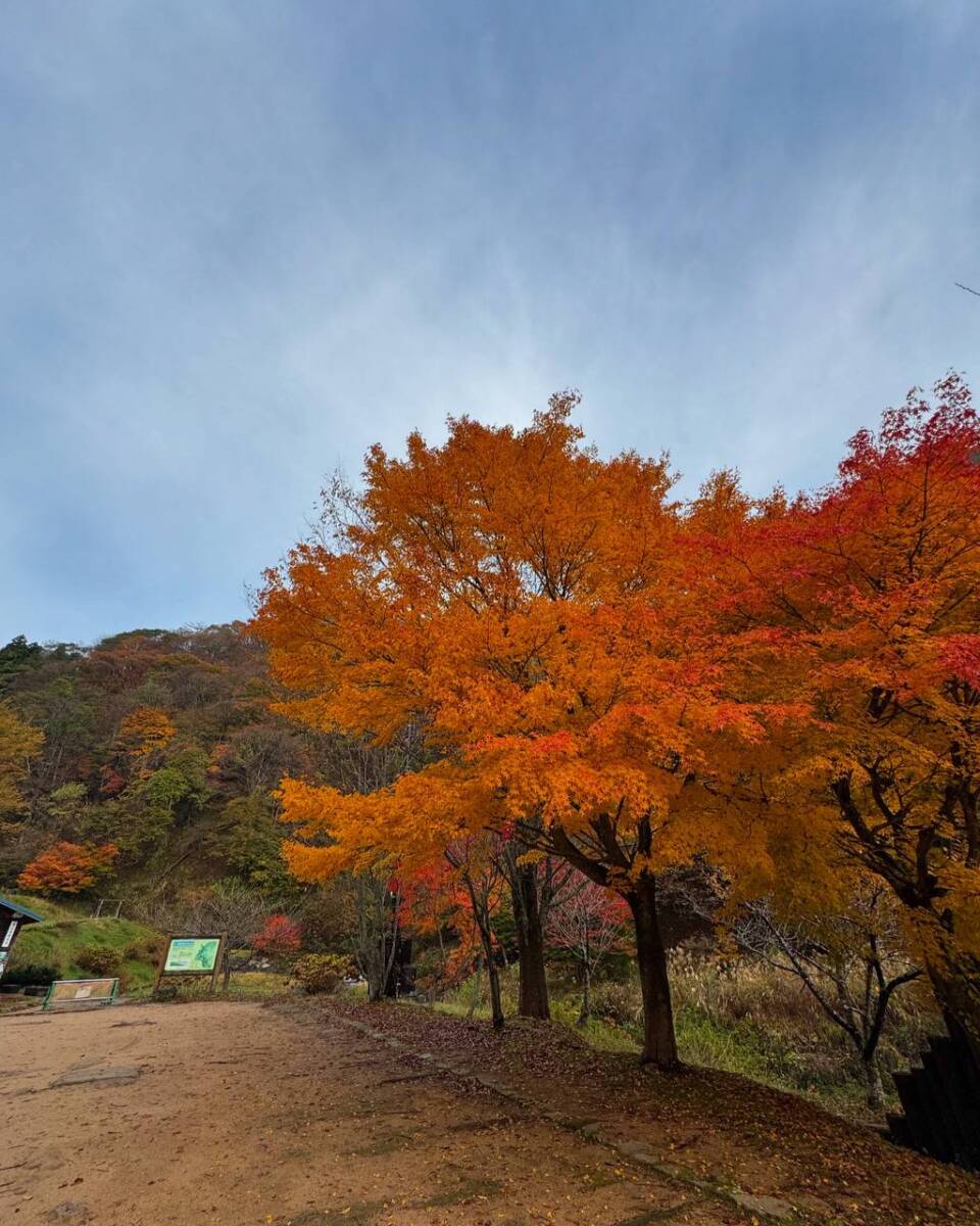 兵庫県最高峰で日本二百名山の『氷ノ山』をぶん回してきました