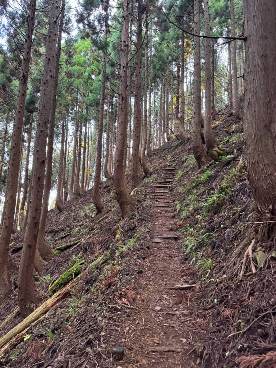 兵庫県最高峰で日本二百名山の『氷ノ山』をぶん回してきました