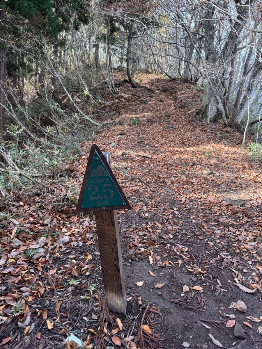 兵庫県最高峰で日本二百名山の『氷ノ山』をぶん回してきました