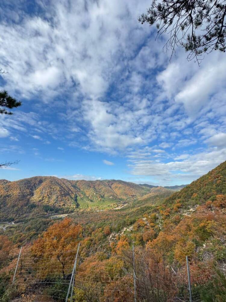 関西百名山の「剣尾山」周回コースは眺め良しで、すごく爽やかな山でした