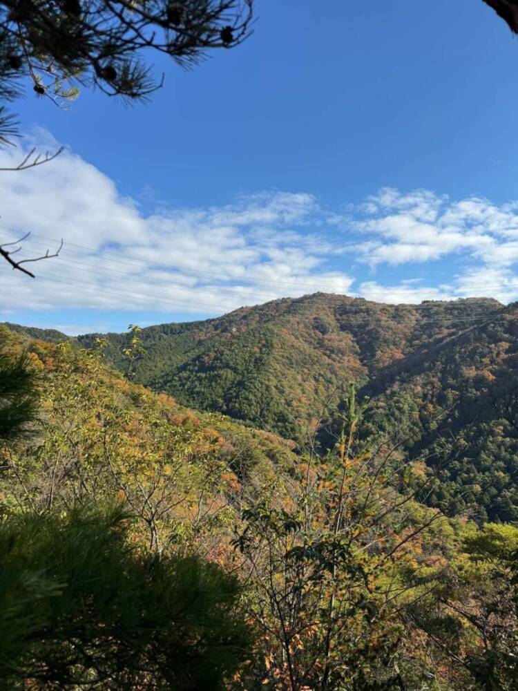 関西百名山の「剣尾山」周回コースは眺め良しで、すごく爽やかな山でした