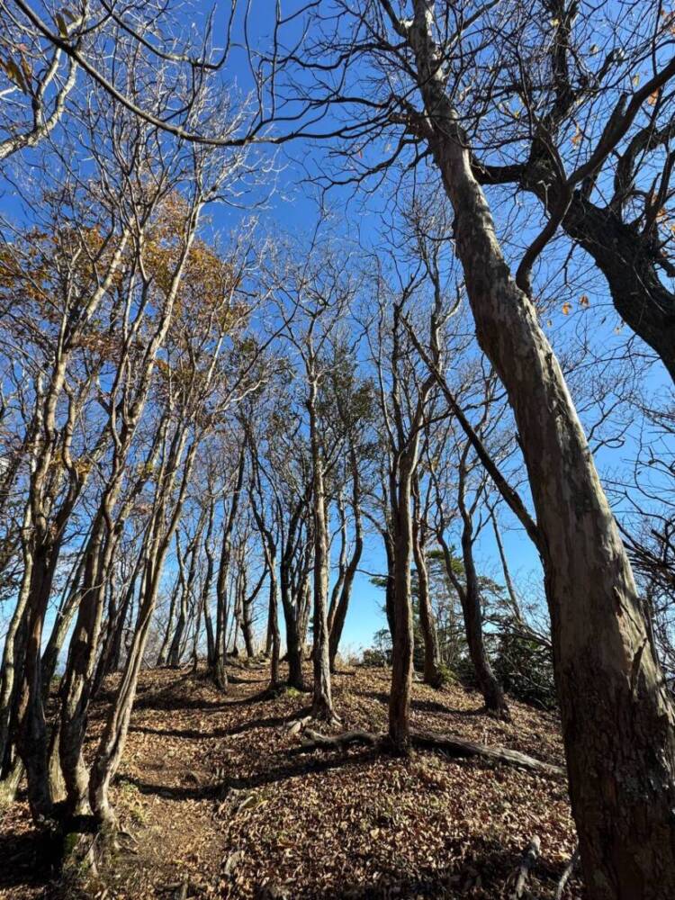 関西百名山の「剣尾山」周回コースは眺め良しで、すごく爽やかな山でした