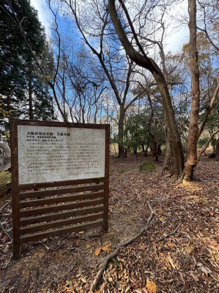 関西百名山の「剣尾山」周回コースは眺め良しで、すごく爽やかな山でした