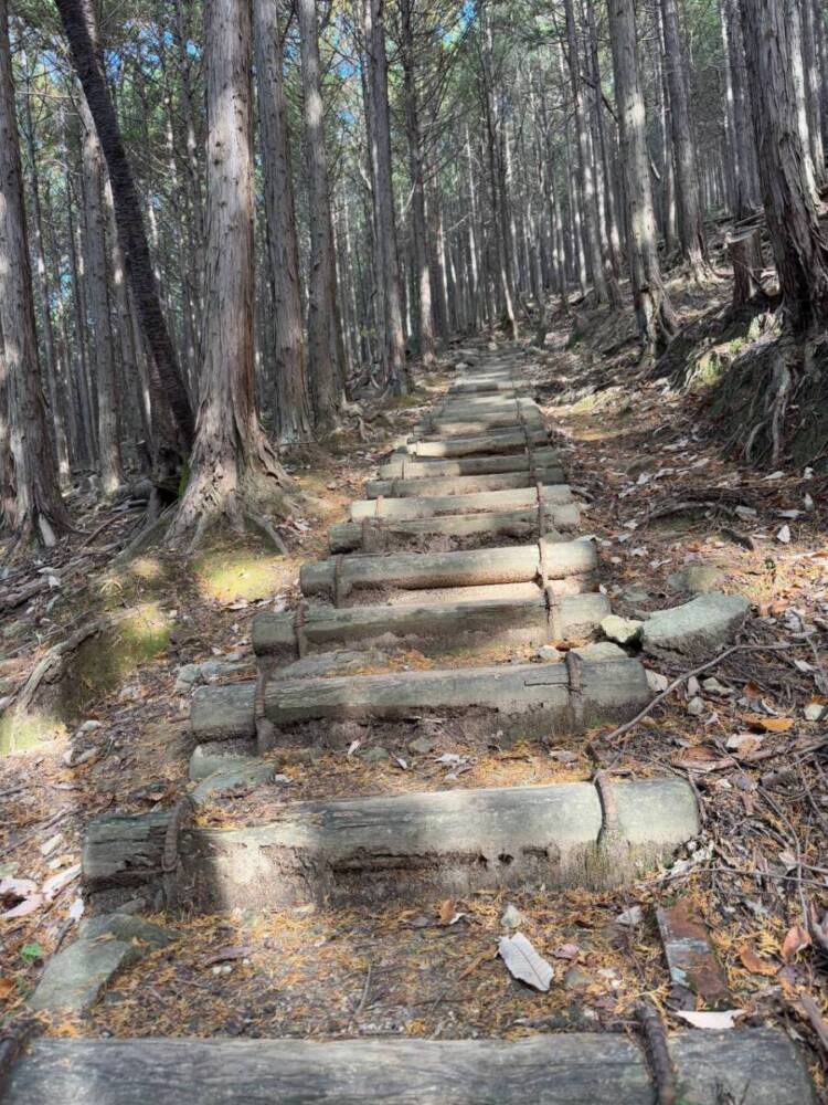 関西百名山の「剣尾山」周回コースは眺め良しで、すごく爽やかな山でした