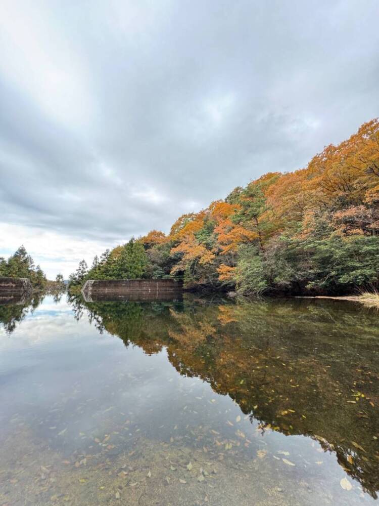 関西百名山の「剣尾山」周回コースは眺め良しで、すごく爽やかな山でした