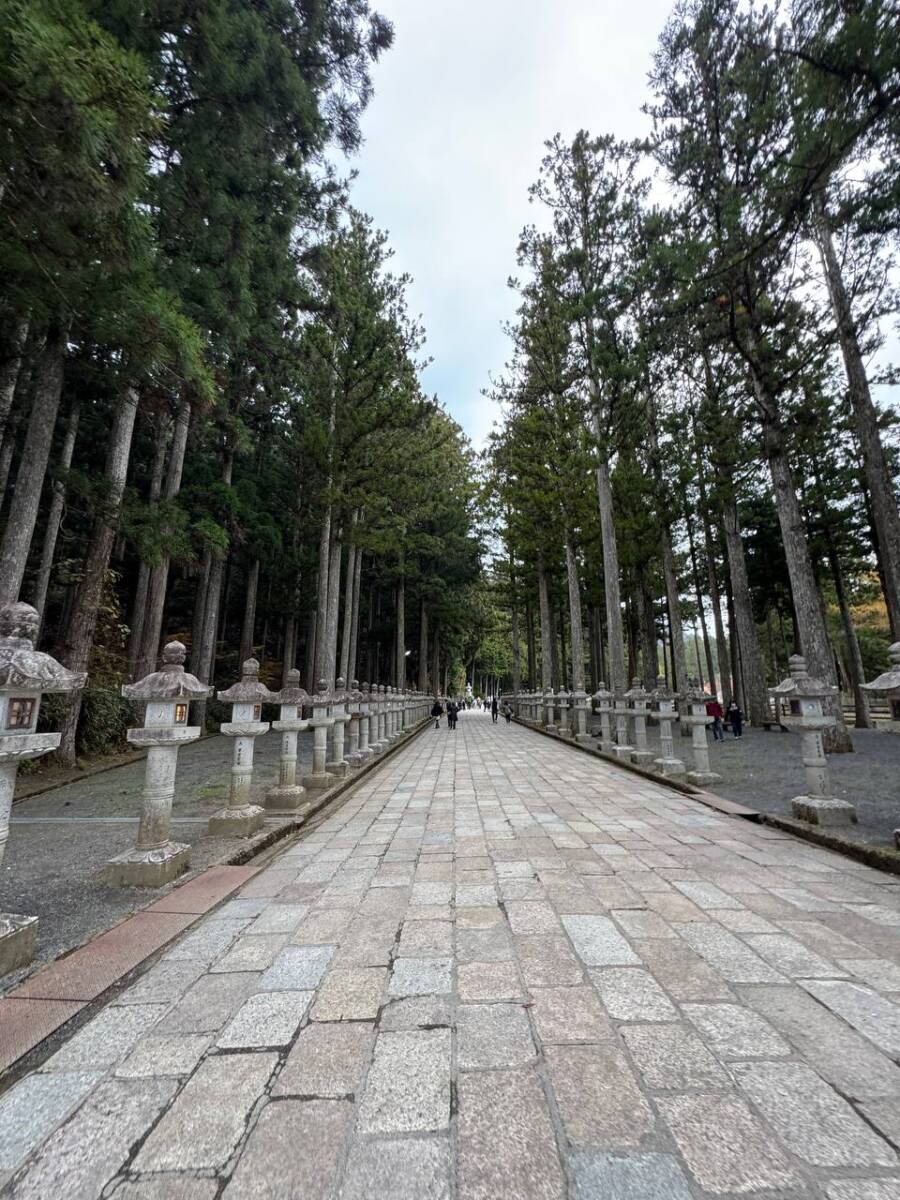 奥の院を中心に蓮の花にたとえられた女人道を辿る巡礼登山 『高野三山』