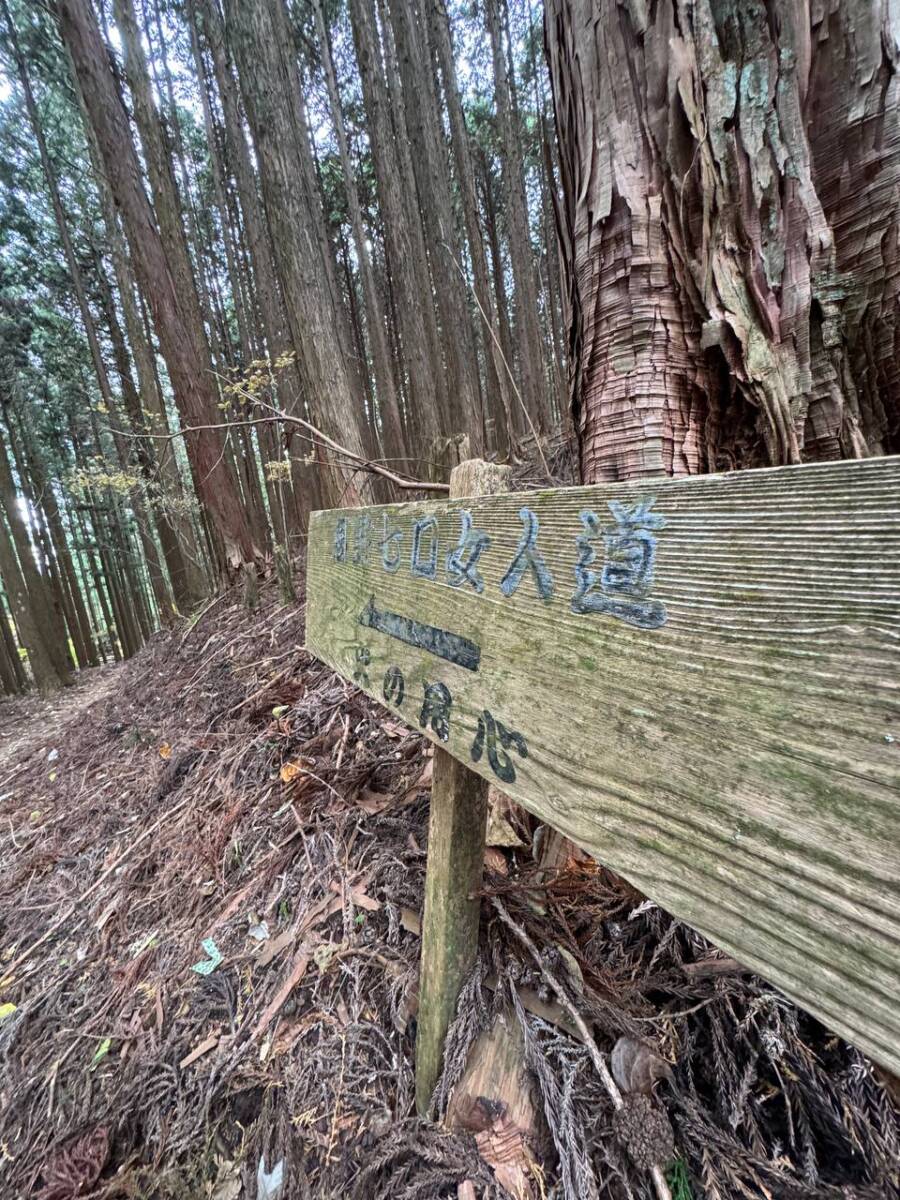 奥の院を中心に蓮の花にたとえられた女人道を辿る巡礼登山 『高野三山』