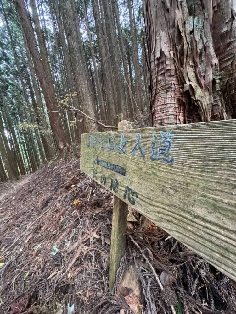 奥の院を中心に蓮の花にたとえられた女人道を辿る巡礼登山 『高野三山』