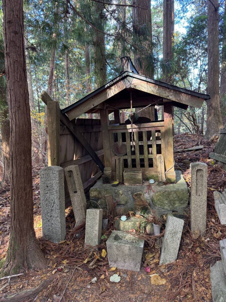 奥の院を中心に蓮の花にたとえられた女人道を辿る巡礼登山 『高野三山』