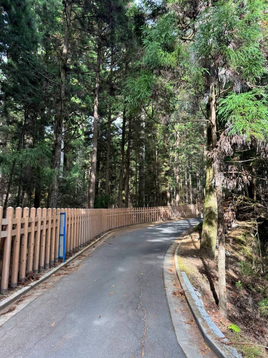 奥の院を中心に蓮の花にたとえられた女人道を辿る巡礼登山 『高野三山』