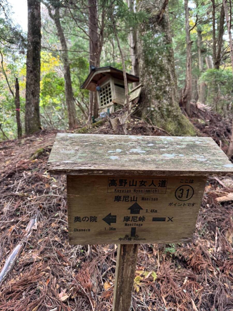 奥の院を中心に蓮の花にたとえられた女人道を辿る巡礼登山 『高野三山』