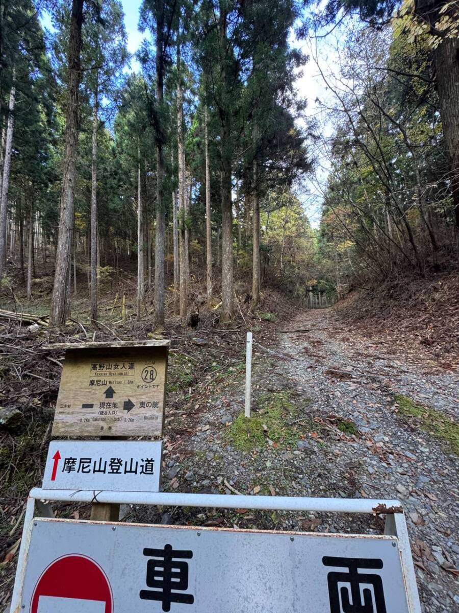 奥の院を中心に蓮の花にたとえられた女人道を辿る巡礼登山 『高野三山』