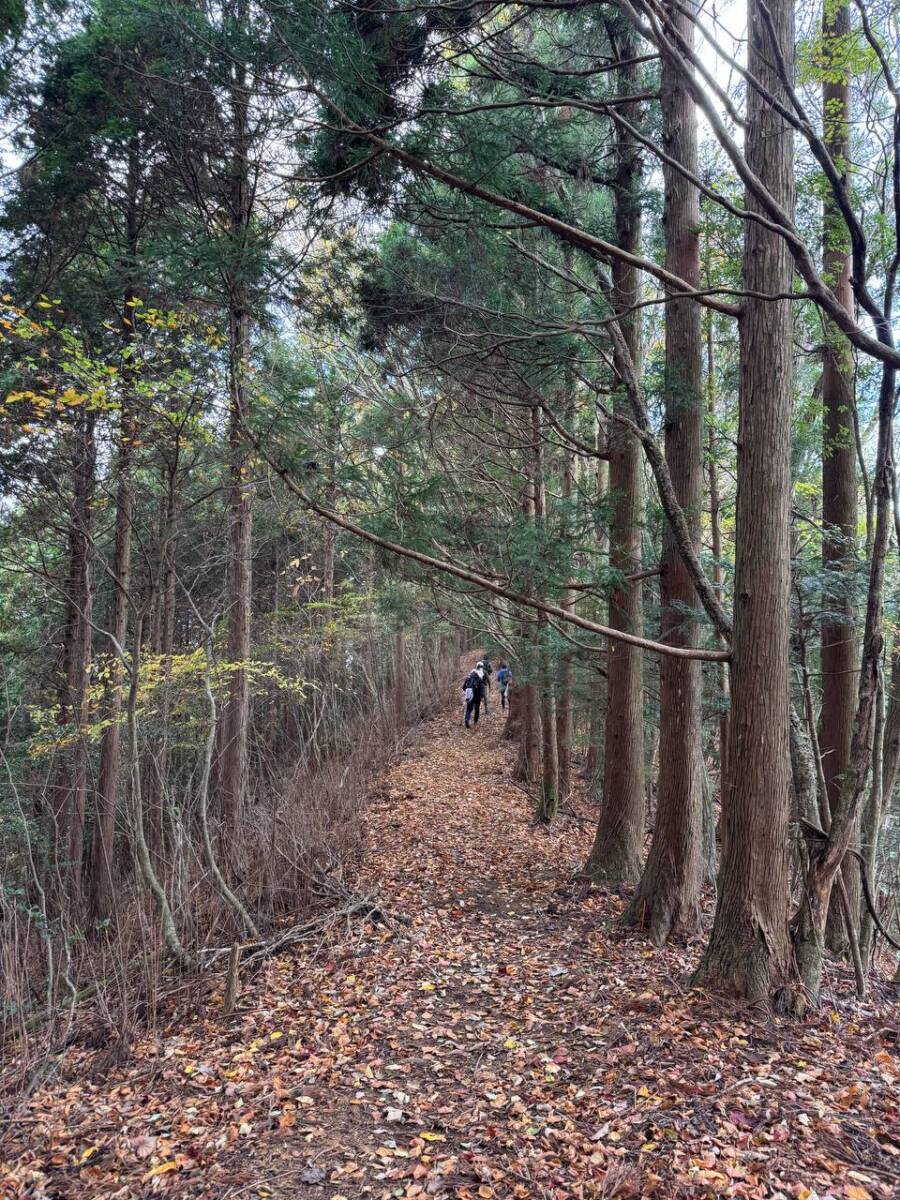 奥の院を中心に蓮の花にたとえられた女人道を辿る巡礼登山 『高野三山』