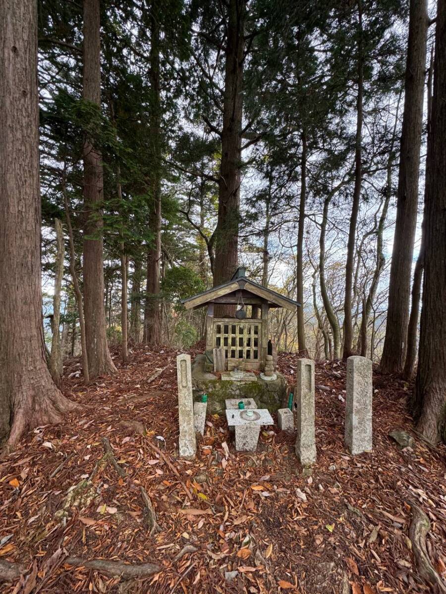 奥の院を中心に蓮の花にたとえられた女人道を辿る巡礼登山 『高野三山』