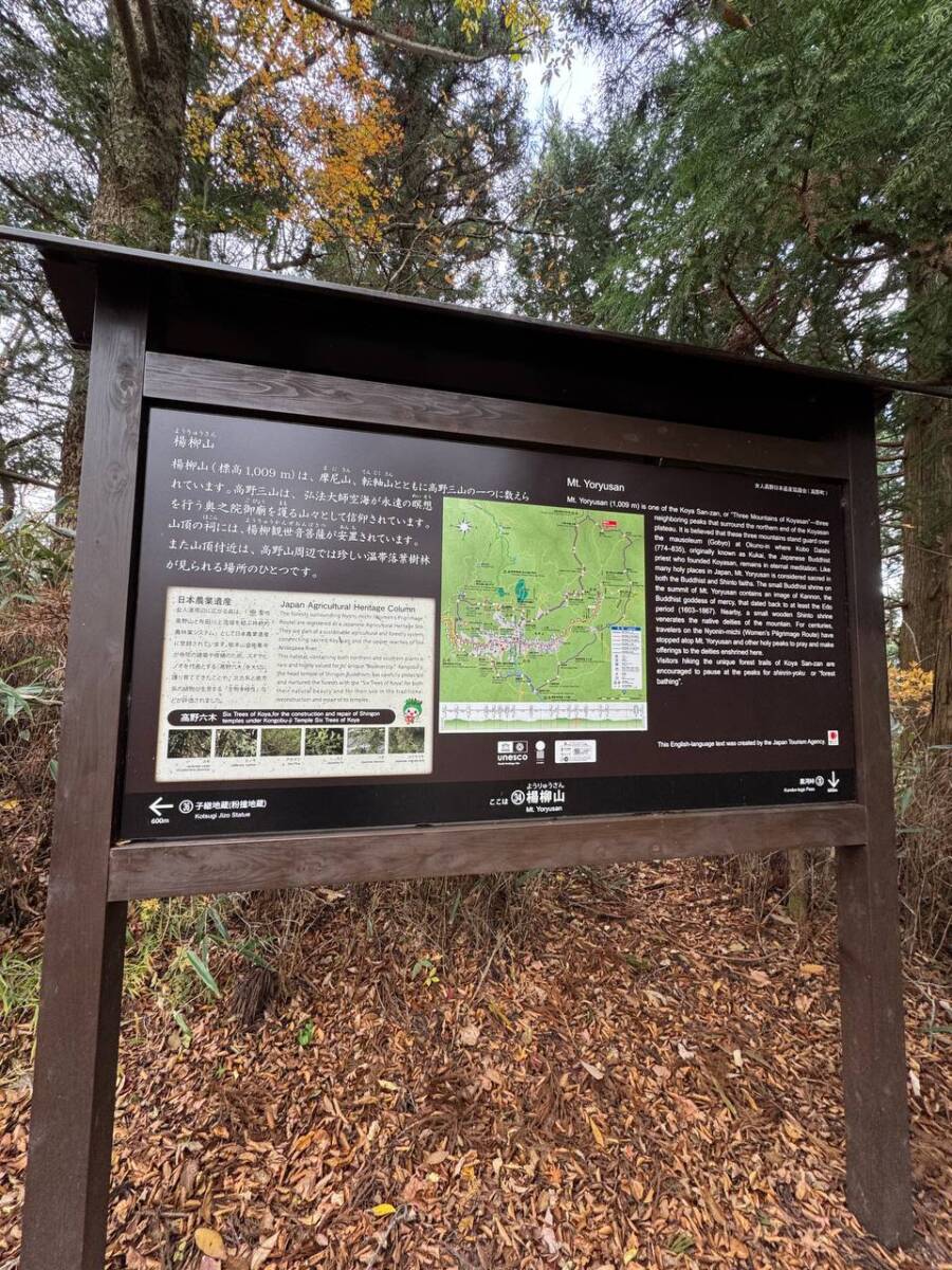 奥の院を中心に蓮の花にたとえられた女人道を辿る巡礼登山 『高野三山』