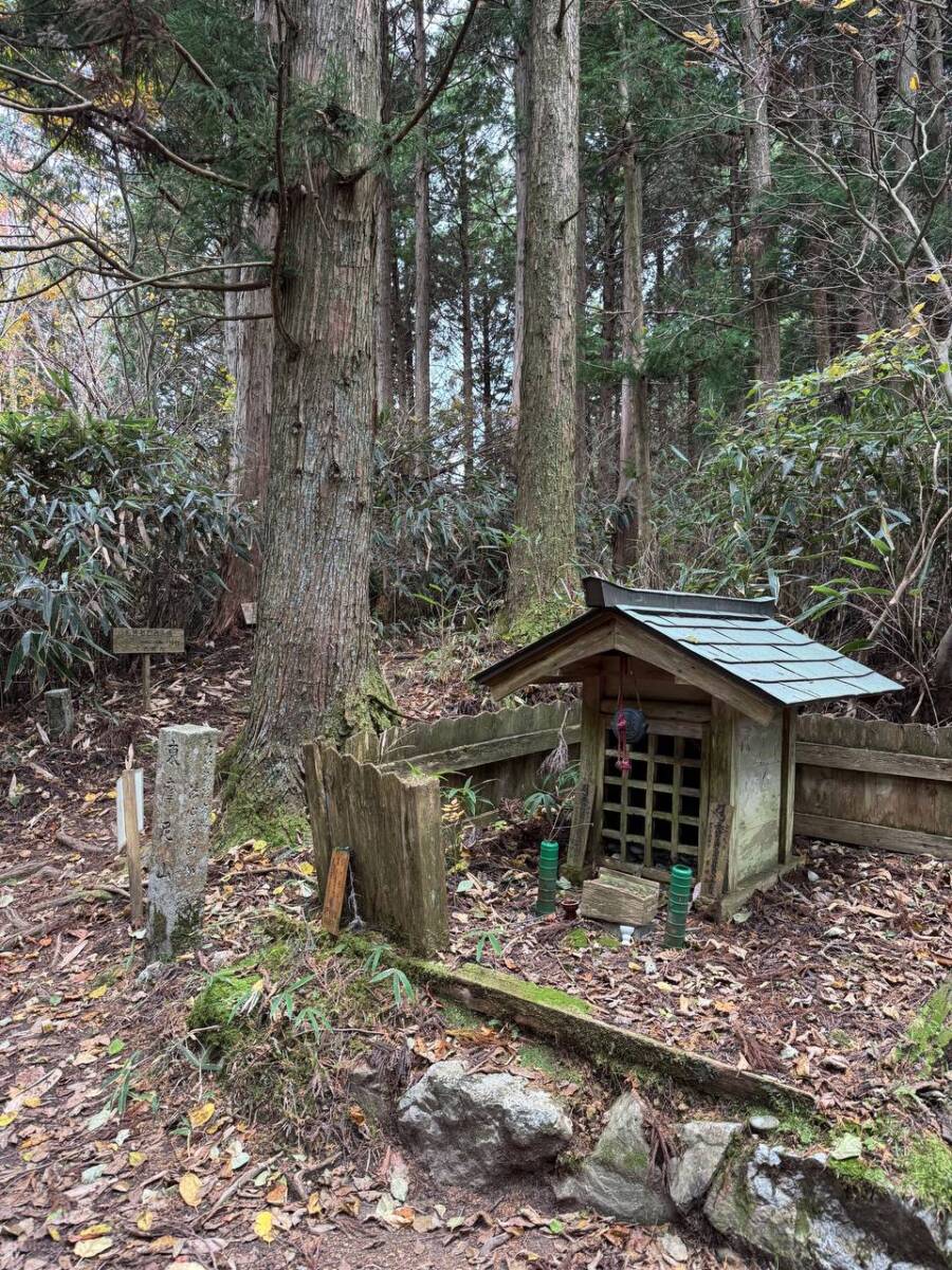 奥の院を中心に蓮の花にたとえられた女人道を辿る巡礼登山 『高野三山』