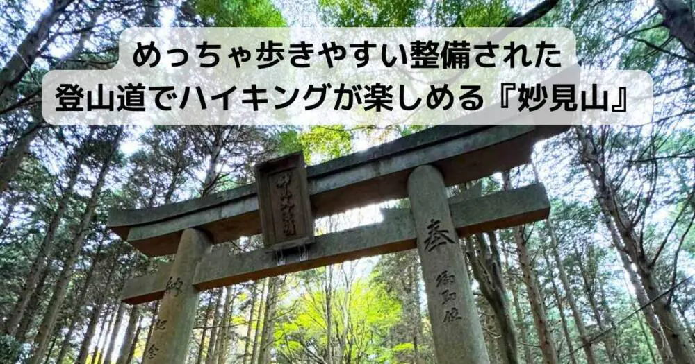 山採り　ヤマモミジ　特大　4トン車入れない場所は不可 実例6 離島の評価その2 – 株式会社ファースト不動産鑑定｜足立区を
