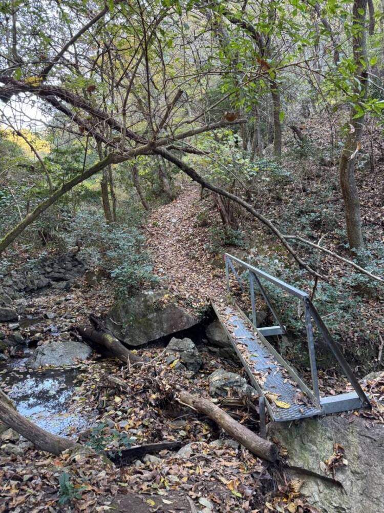 めっちゃ歩きやすい整備された登山道でハイキングが楽しめる『妙見山』