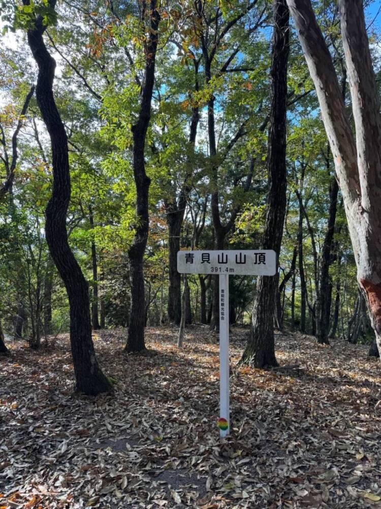 めっちゃ歩きやすい整備された登山道でハイキングが楽しめる『妙見山』