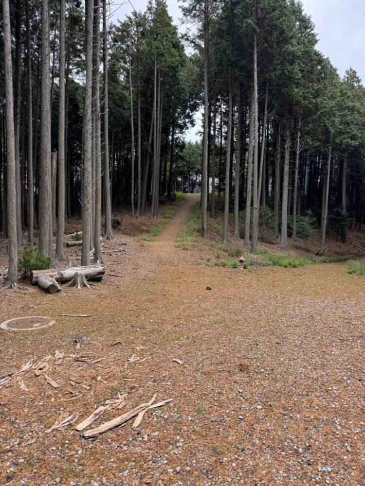 めっちゃ歩きやすい整備された登山道でハイキングが楽しめる『妙見山』