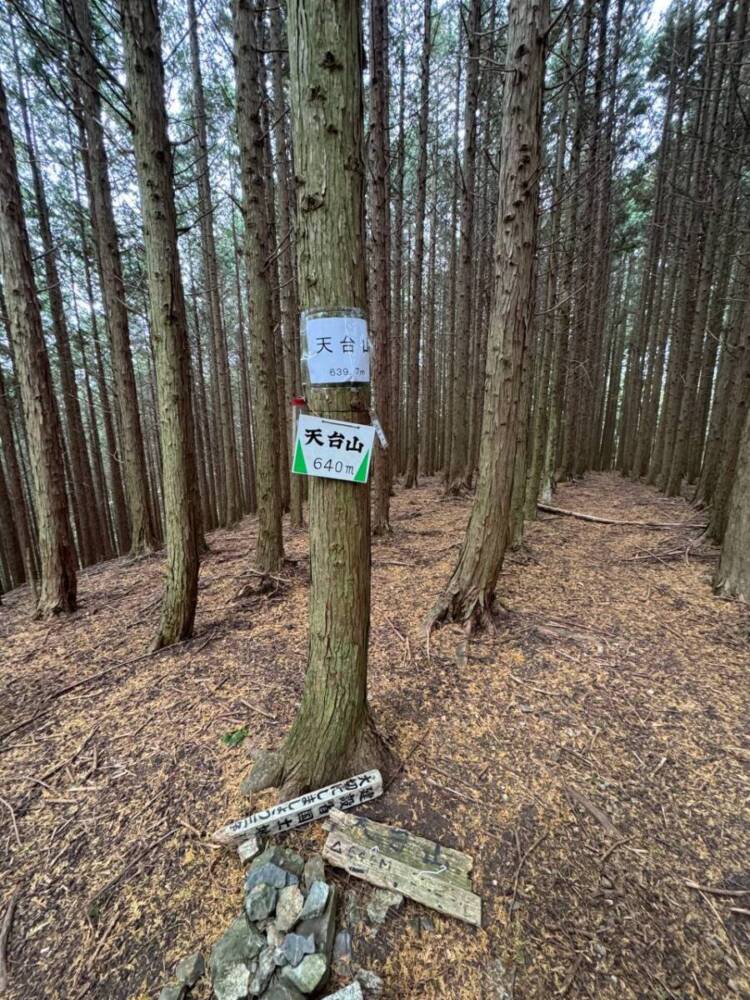 めっちゃ歩きやすい整備された登山道でハイキングが楽しめる『妙見山』