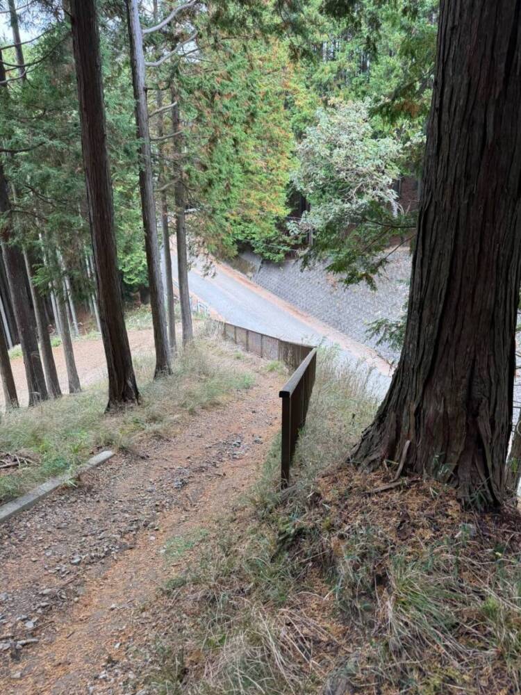 めっちゃ歩きやすい整備された登山道でハイキングが楽しめる『妙見山』